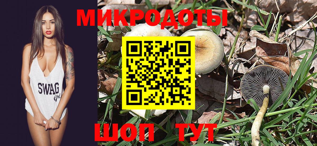 Кимовск  как найти закладки  Вход с VPN  Галлюциногенные грибы Psilocybine cubensis 