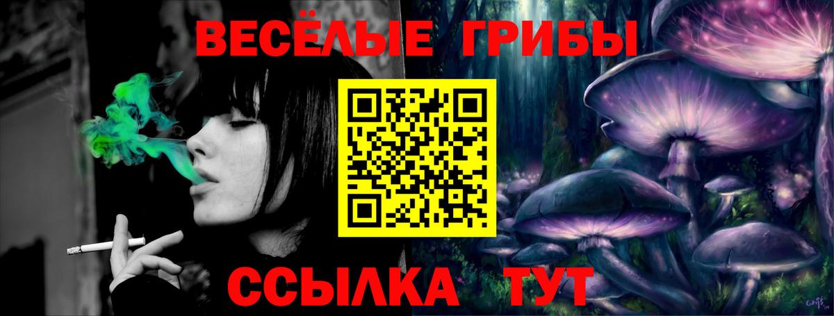 Псилоцибиновые грибы Magic Shrooms Кимовск